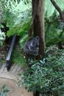 Zooloki Vrt U New South Wales-U (NSW)