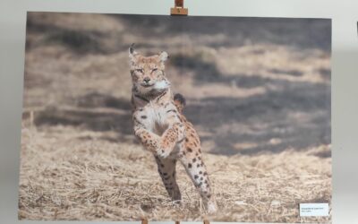 POSJET EDUKATIVNOJ RADIONICI O VELEBITU