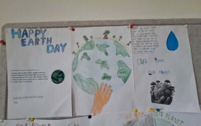 OUR POWER, OUR EARTH